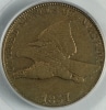 1857 Flying Eagle Cent obverse