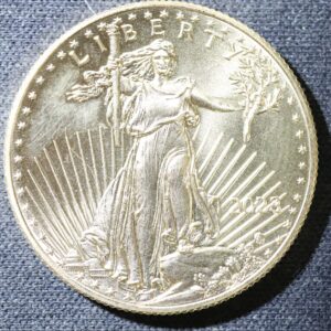 1/2 oz American Gold Eagle